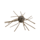 Strike King Tumbleweed Floating Softbait, 4 pack, 3in, Blue Craw, 12-36249