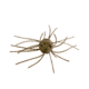 Strike King Tumbleweed Floating Softbait, 4 pack, 3in, Green Pumpkin, 12-36247