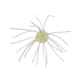 Strike King Tumbleweed Floating Softbait, 4 pack, 3in, Lemon Drop, 12-36253