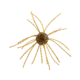 Strike King Tumbleweed Floating Softbait, 4 pack, 3in, Smallmouth Candy, 12-36246