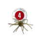 Strike King Tumbleweed Floating Softbait, 4 pack, 3in, Watermelon Red Flake, 12-36251