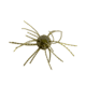 Strike King Tumbleweed Floating Softbait, 4 pack, 3in, Watermelon Red Flake, 12-36251