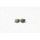 Sunski Tera Sunglasses, Black Frame, Gold Lens, SUN-TE-BKGP
