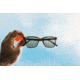 Sunski Ventana Sunglasses, Tortoise Frame, Forest Lens, SUN-VE-TFO