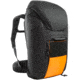 Tasmanian Tiger Tac Modular SW Pack 25 Backpack, Black, TT-7723-040
