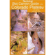 Technical Slot Canyon Guide CO Plat