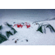Terra Nova Expedition Hyperspace, Green, 41EHS00