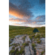 Terra Nova Southern Cross 1 Tents, 43SCR1E