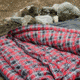 TETON Sports Celsius XXL 0 F Sleeping Bag, Right Zipper, Grey/Red, 2XL, 102R