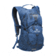 TETON Sports Oasis 18L Hydration Pack with 2L Bladder, High Tide, 2101SCHT