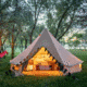 TETON Sports Sierra Canvas Tent, 6 Person, Brown, 2012
