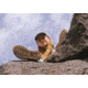 Teva Hurricane XLT2 Sandal - Womens, Bright Retro Multi, 10, 1019235-BRMLT-10