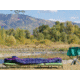Therm-a-Rest UltraLite Cot, Regular, Reflect Green, 9635