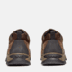 Timberland Mt. Maddsen Waterproof Low Hiker Boot - Mens, Brown, 15, Medium, TB1A11MO21415000M