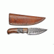 Titan Damascus Fixed Blade Knife 7in TD-099, TDK-99