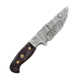Titan International Knives Damascus Custom Handmade Camel Bone Handle Steel Fixed Blade Hunting Knife, 8 inch, TDK-219