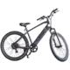 TRUSTMADE Bobcat Electric Bike, Black, AB100