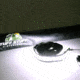 Tuff Stuff Overland LED Light Strip for Rooftop Tent, 12V, White, NSN N, TS-LED-TL-12V-WT