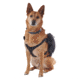Ultimate Direction Dog Vests - Unisex, Black, Small, 80479723ONX-SM