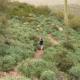 Ultimate Direction Fastpackher 20 Backpack - Unisex, Mist, Extra Small/Small, 80479923MST-X/S