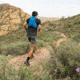 Ultimate Direction Ultra Vests - Mens, UD Blue, Large, 80458322UDB-LG