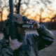 Ultimate Night Vision Ultimate Helmet Mount