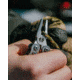 Uncharted Supply Co. Multitool Core, Grey, BA-M6L-S-SL