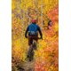 Uncharted Supply Co. The Park Pack, Gunmetal, SU-P2R-U-GM