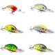 Vexan 6-Pack Verns Stoneroller 10 Crankbait Lures, Kit 1, Orange/Purple/Yellow/White/Green/Gray, 10 ft, Variety #1 VS 6-PK 10