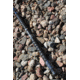 Vexan Catfish Fishing Rods, 7 ft, Heavy,Spinning, Black/Blue, VB7H-S
