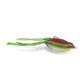Vexan Ninja Frog Popper &amp; Swimmer Baits, Bs Baby, Small, NFS-6