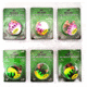 Vexan Two-fer Six 2-Packs Glow Walleye Crawler Harnesses, Holo Purple/Perch, 48 in, Two-fer #2 WH