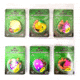 Vexan Variety #6, Six 2-Packs Glow Walleye Crawler Harnesses, Gold/Green/Purple/Black/Yellow/Orange/Pink, 48 in, Variety #6 WH