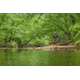 Vortex GlassPak Sport Binocular Harness, Tan, Small, P500-S