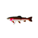 Westin Tommy The Trout Jointed Hybrid Swimbait, Slow Sinking, Rainbow Trout, 9-7/8in, 5-5/8oz, P060-178-047