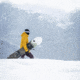Weston Backwoods Snowboard, Green, 152, 22.006.005.152V0