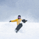 Weston Backwoods Snowboard, Green, 152, 22.006.005.152V0