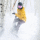 Weston Backwoods Snowboard, Green, 152, 22.006.005.152V0