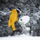 Weston Backwoods Snowboard, Green, 152, 22.006.005.152V0