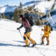Weston Backwoods Splitboard Artist Series - 21/22, White, 163, 106163025G