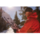 Weston Backwoods Splitboard Artist Series - 21/22, White, 163, 106163025G