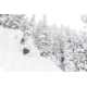 Weston Carbon Backwoods Splitboard - 21/22, White, 160, 106160045G