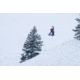 Weston Carbon Backwoods Splitboard - 21/22, White, 160, 106160045G