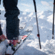 Weston Summit Carbon Ski, Red, 156, 22.006.721.156V0