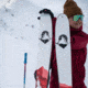 Weston Summit Carbon Ski, Red, 156, 22.006.721.156V0