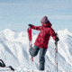Weston Summit Carbon Ski, Red, 156, 22.006.721.156V0