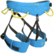 Wild Country Climbing Flow Harnesses, Detroit Blue/Citronelle, Medium, 40-0000008003-M
