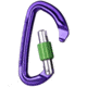 Wild Country Climbing Session Screw Gate Carabiners, Purple/Green, One Size, 40-0000001000