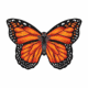 WindNSun Microbutterfly - Monarch 70153