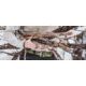 Wingo Outdoors Basecamp Belt, Brook Trout, One Size Fits Most, W-BAS-103-OS